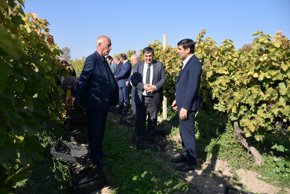 Aqrar Xidmətlər Agentliyinin sədri Ağstafada vətəndaşların müraciətlərini dinləyib