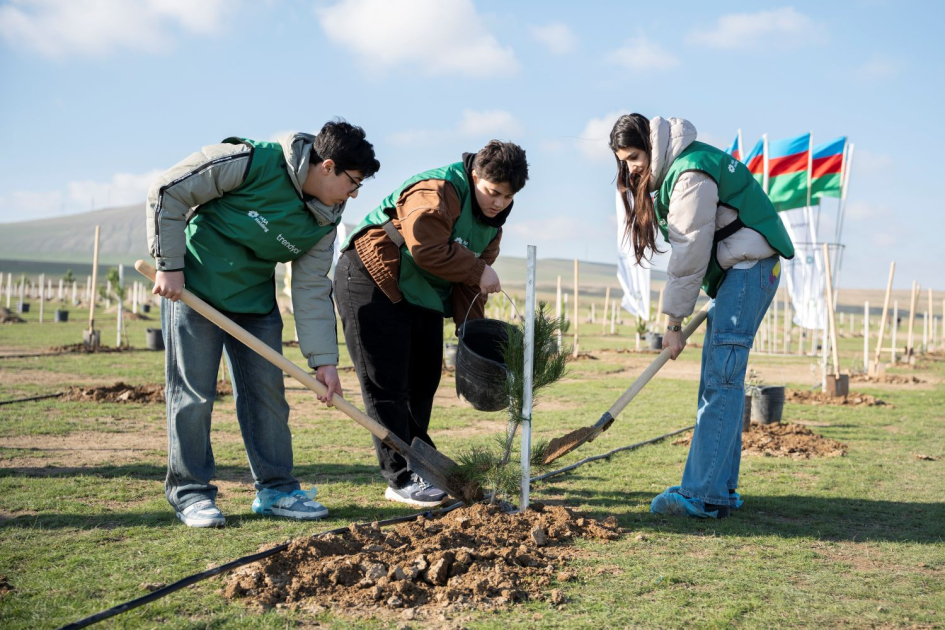 “Trendyol” və “PAŞA Holding”in təşəbbüsü ilə 12 mindən çox ağac əkilib