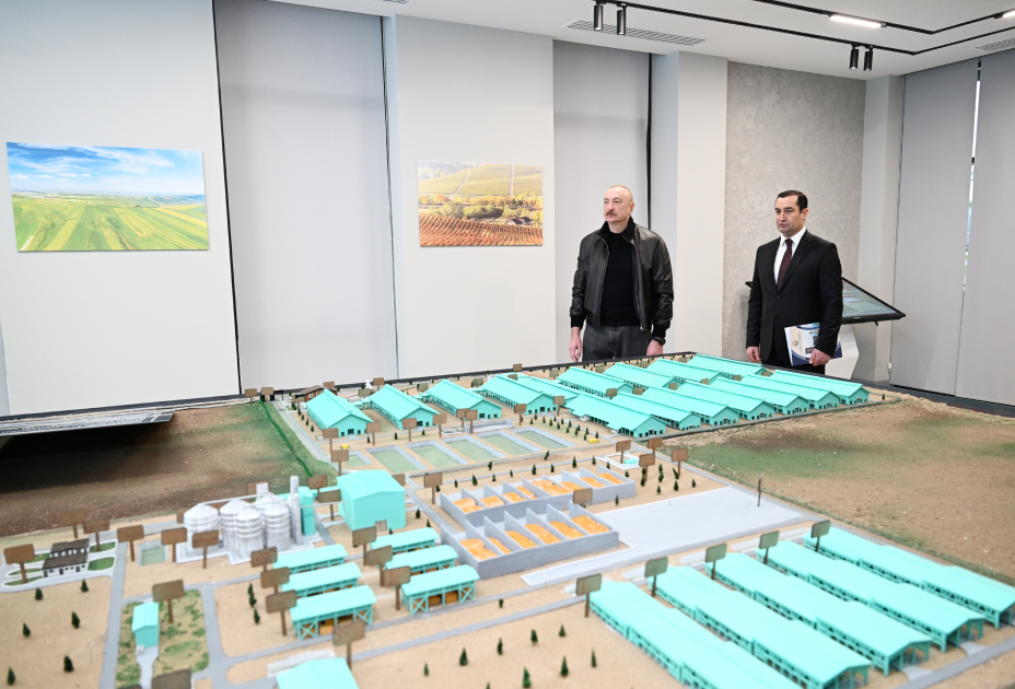 Prezident İlham Əliyev Şamaxıda “Şirvan Aqro” heyvandarlıq kompleksinin açılışında iştirak edib VİDEO