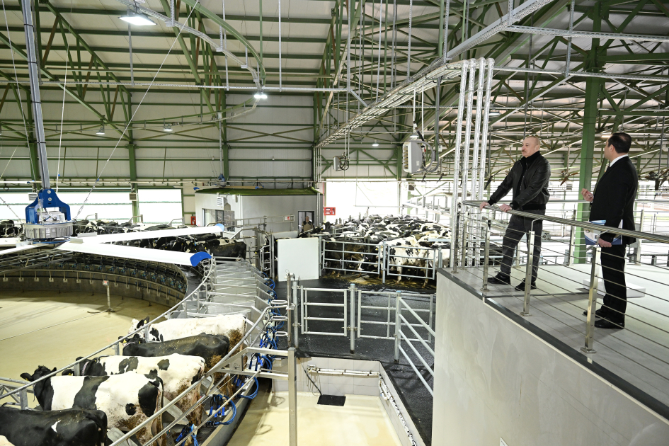 Prezident İlham Əliyev Şamaxıda “Şirvan Aqro” heyvandarlıq kompleksinin açılışında iştirak edib VİDEO