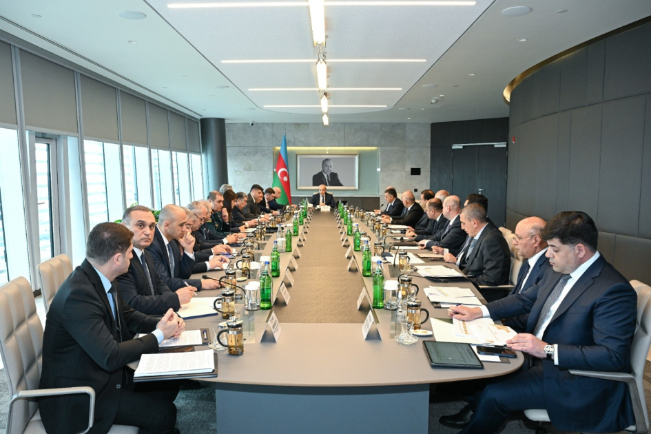 Ələt azad iqtisadi zonasının inkişafı və investisiya imkanlarının genişləndirilməsinə dair müzakirələr aparılıb