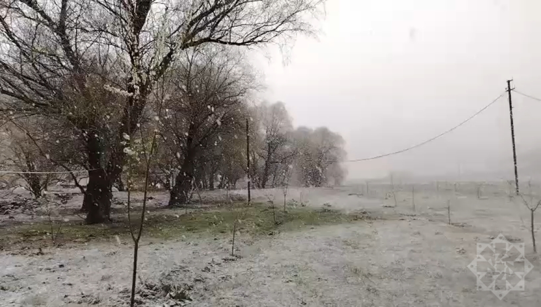 Laçında yazın ortasında qarlı mənzərə VİDEO