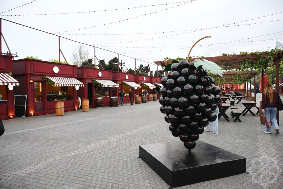 Bakıda ilk dəfə Caz və Şərab festivalı təşkil olunacaq