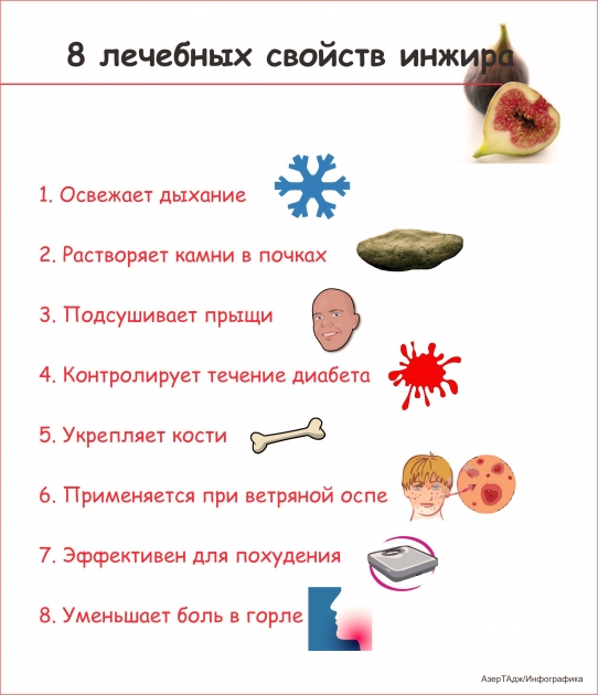8 лечебных свойств инжира - ИНФОГРАФИКА