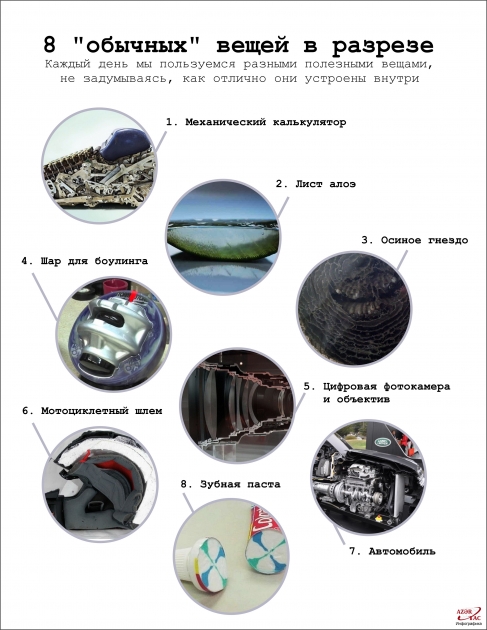 8 "обычных" вещей в разрезе - ИНФОГРАФИКА