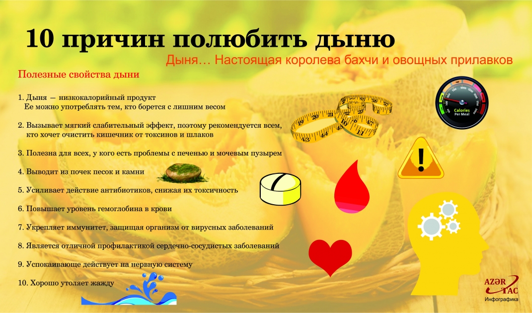 10 причин полюбить дыню - ИНФОГРАФИКА