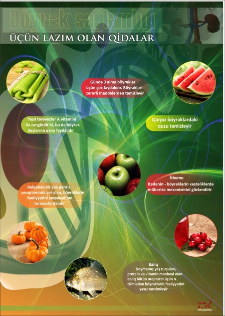 Böyrək sağlamlığı üçün lazım olan qidalar  - İNFOQRAFİKA