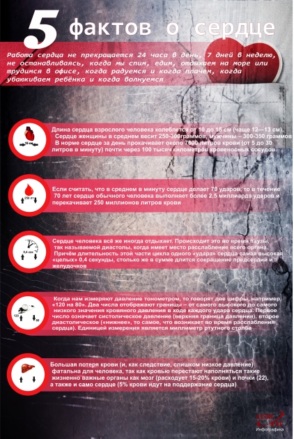 5 фактов о сердце  -  ИНФОГРАФИКА
