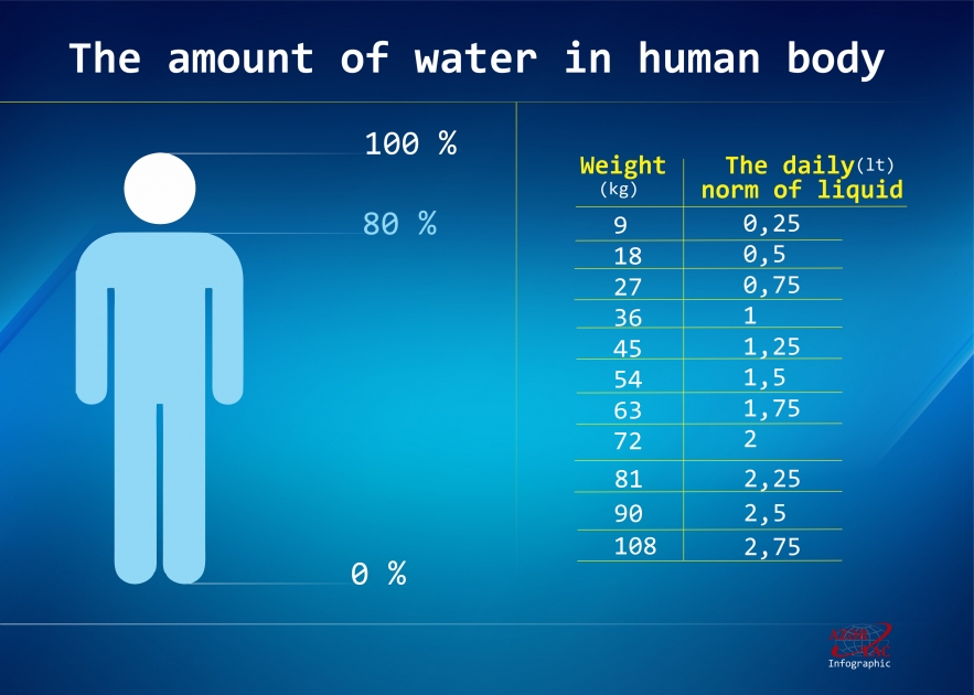 The amount of water in human body - INFOGRAPHIC