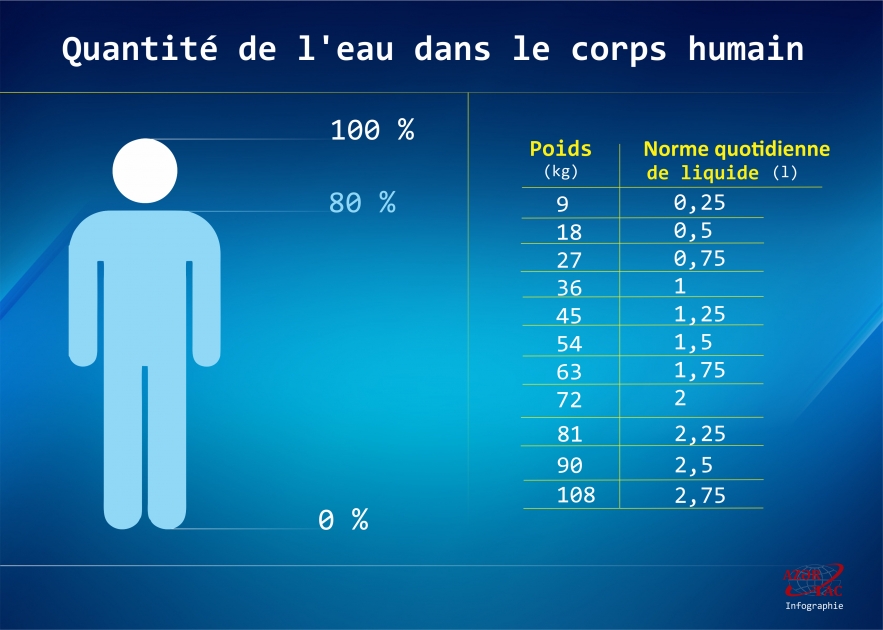 Quantité de l'eau dans le corps humain - INFOGRAPHIE