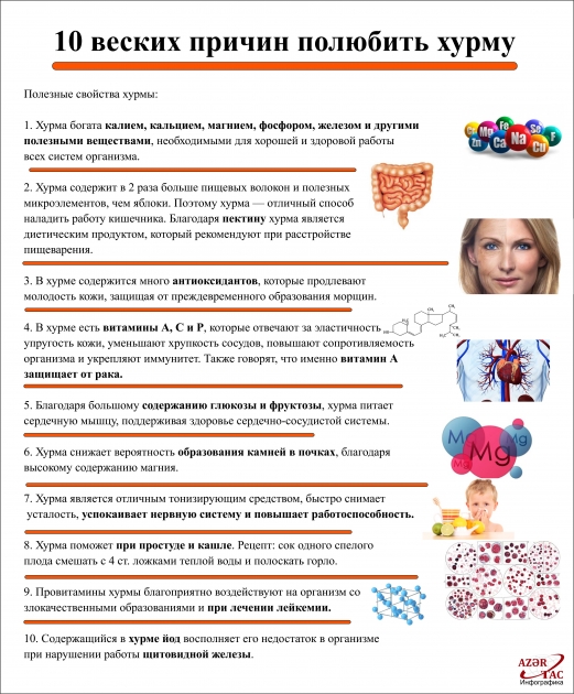 10 веских причин полюбить хурму  -  ИНФОГРАФИКА