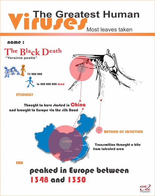 The Greatest Human Viruses  - INFOGRAPHIC
