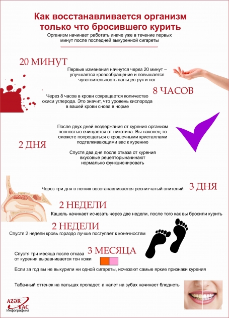 Как восстанавливается организм только что бросившего курить - ИНФОГРАФИКА