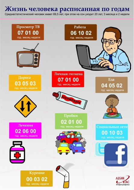 Жизнь человека расписанная по годам - ИНФОГРАФИКА