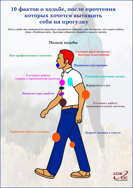 10 фактов о ходьбе, после прочтения которых хочется вытащить себя на прогулку