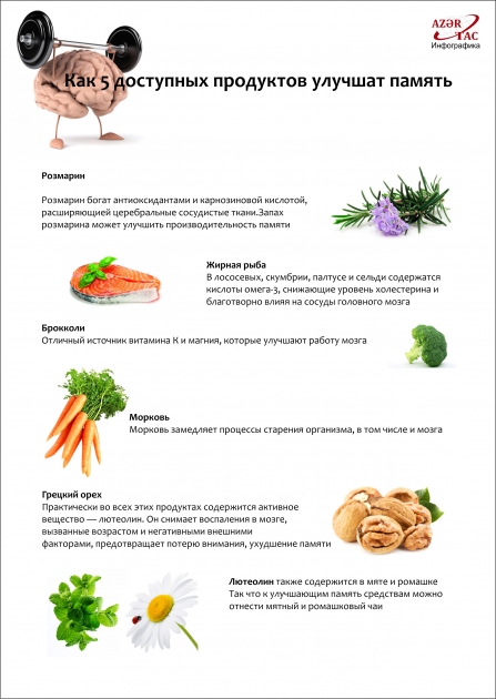 Как 5 доступных продуктов улучшат память -  ИНФОГРАФИКА