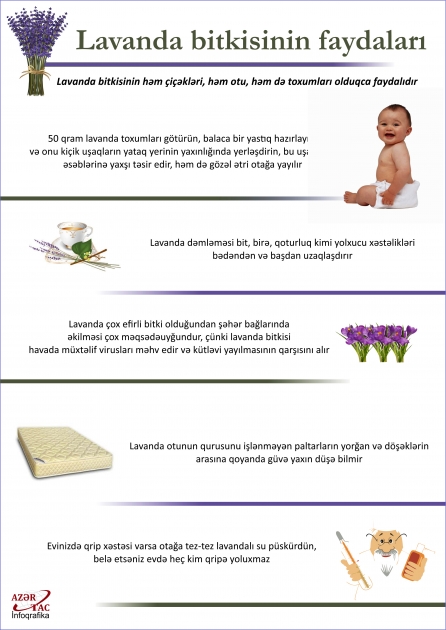 Lavanda bitkisinin faydaları - İNFOQRAFİKA
