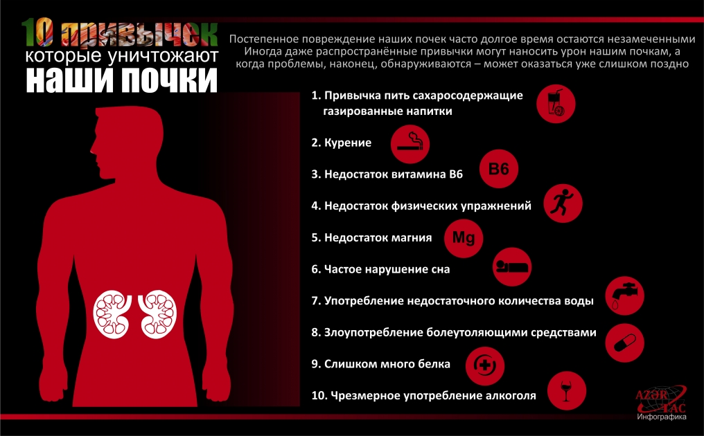 10 привычек, которые уничтожают наши почки – ИНФОГРАФИКА