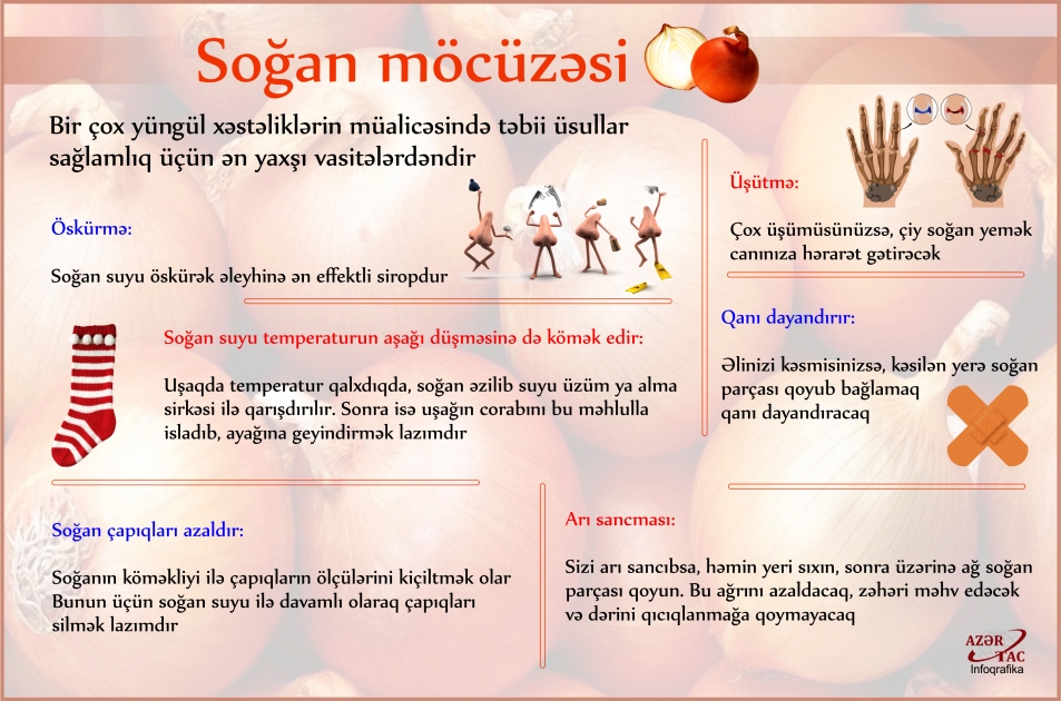 Soğan möcüzəsi – İNFOQRAFİKA