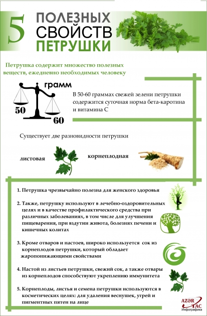 5 ПОЛЕЗНЫХ СВОЙСТВ ПЕТРУШКИ – ИНФОГРАФИКА