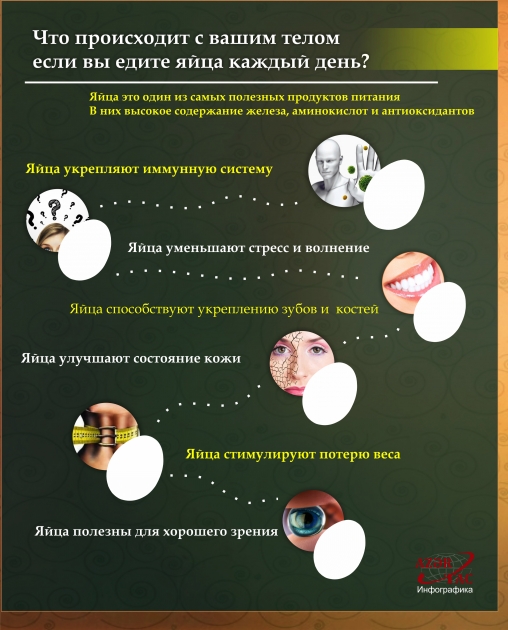 Что происходит с вашим телом, если вы едите яйца каждый день - ИНФОГРАФИКА