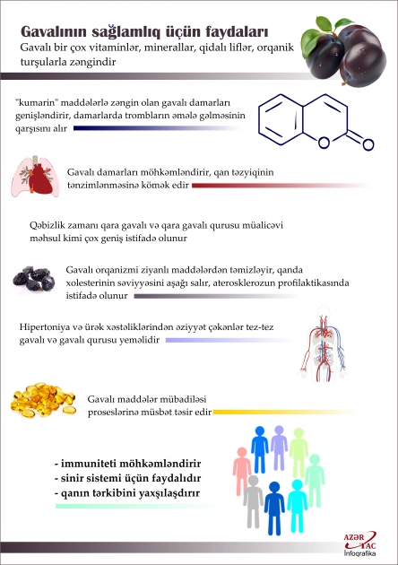 Gavalının sağlamlıq üçün faydaları – İNFOQRAFİKA
