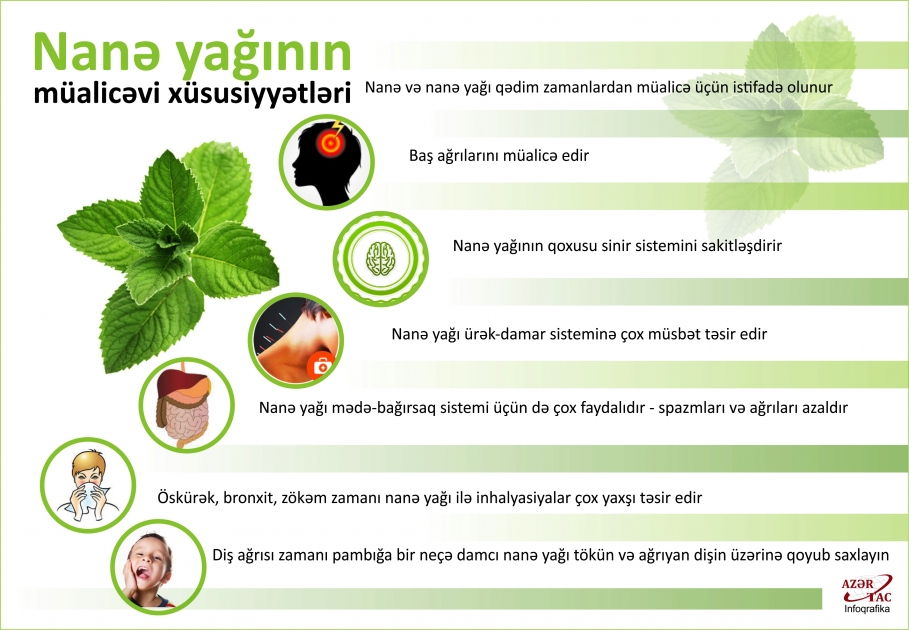Nanə yağının müalicəvi xüsusiyyətləri - İNFOQRAFİKA