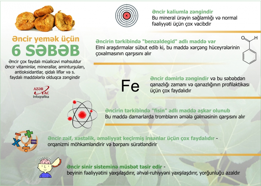 Əncir yemək üçün 6 SƏBƏB – İNFOQRAFİKA