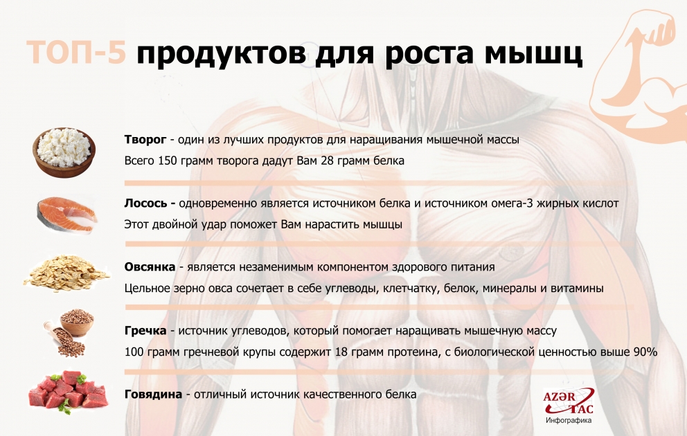 ТОП-5 продуктов для роста мышц - ИНФОГРАФИКА