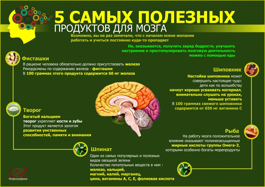 5 САМЫХ ПОЛЕЗНЫХ ПРОДУКТОВ ДЛЯ МОЗГА  - ИНФОГРАФИКА