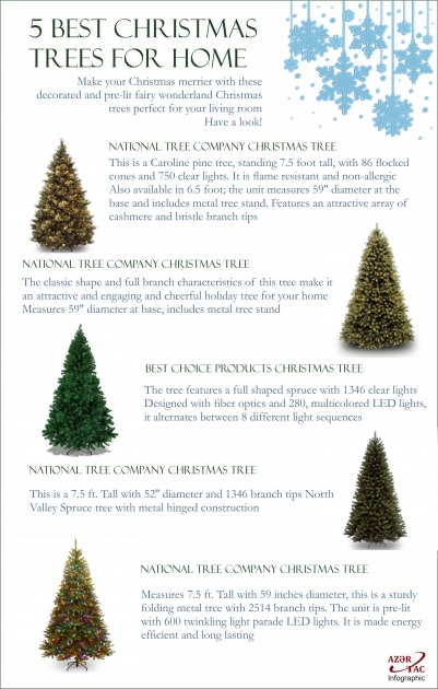 5 Best Christmas Trees For Home - INFOGRAPHIC