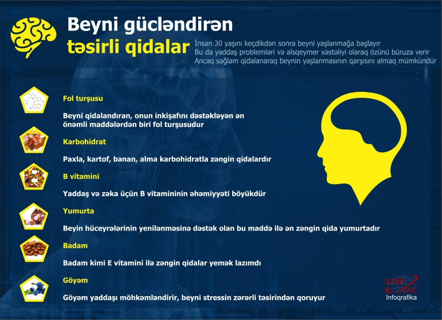 Beyni gücləndirən təsirli qidalar – İNFOQRAFİKA