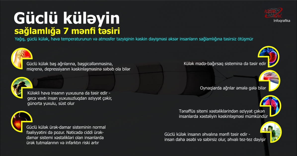 Güclü küləyin sağlamlığa 7 mənfi təsiri - İNFOQRAFİKA
