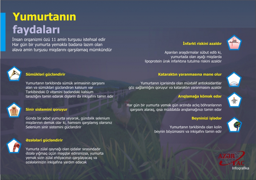 Yumurtanın faydaları - İNFOQRAFİKA