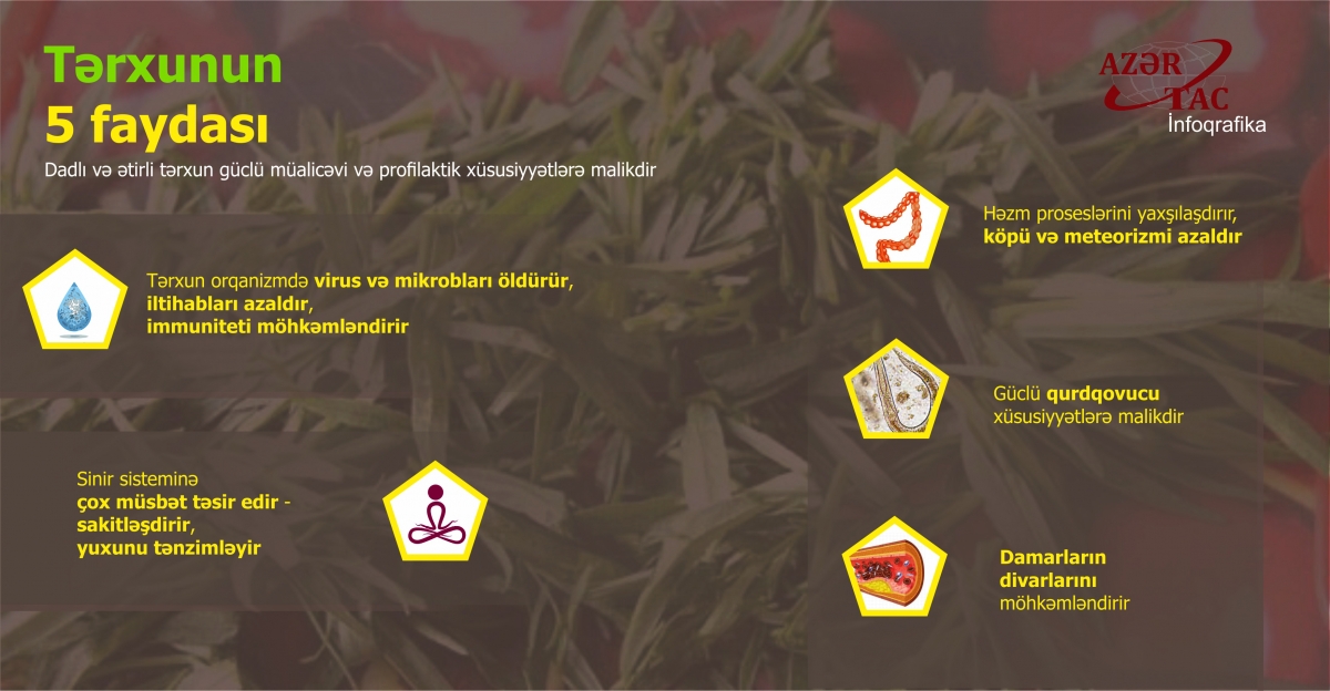 Tərxunun 5 faydası - İNFOQRAFİKA