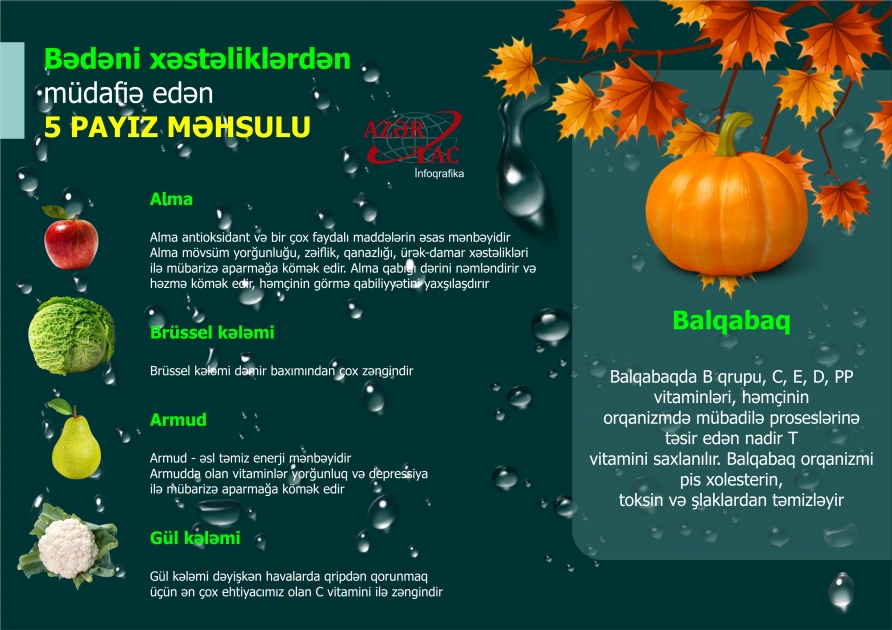 Bədəni xəstəliklərdən müdafiə edən 5 PAYIZ MƏHSULU - İNFOQRAFİKA