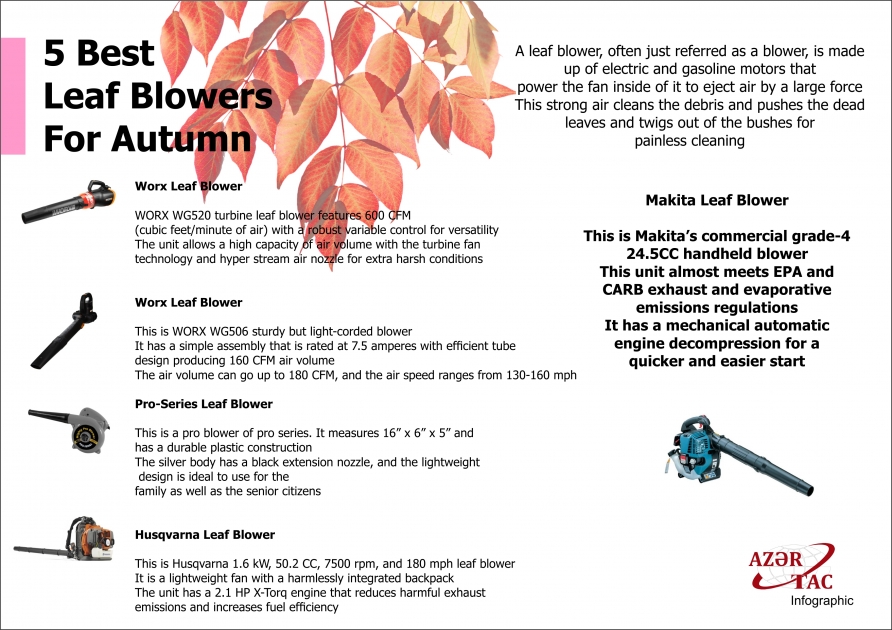 5 Best Leaf Blowers For Autumn - INFOGRAPHIC