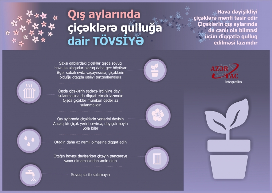 Qış aylarında çiçəklərə qulluğa dair TÖVSİYƏ - İNFOQRAFİKA