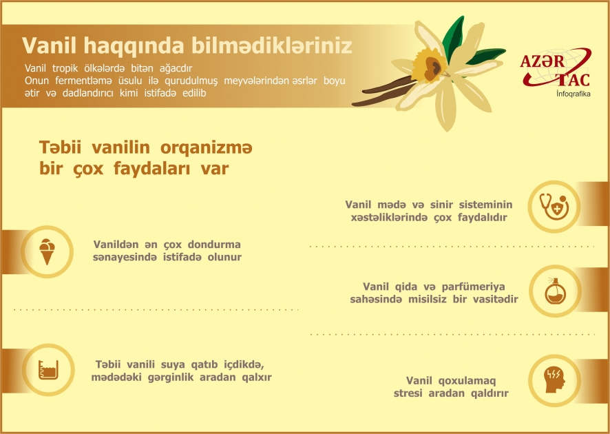 Vanil haqqında bilmədikləriniz - İNFOQRAFİKA