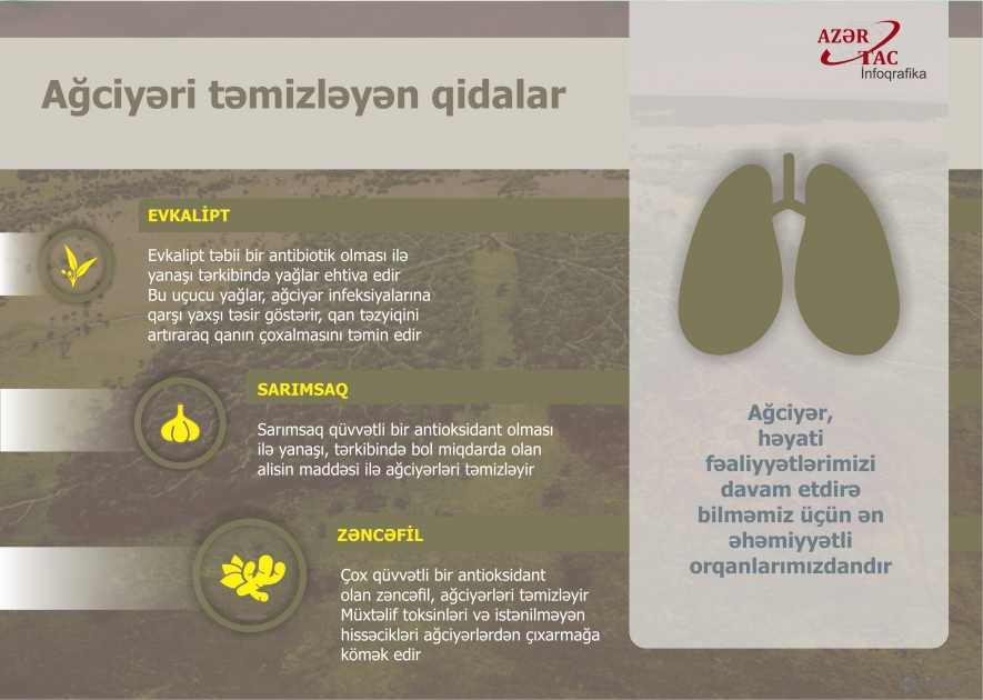 Ağciyəri təmizləyən qidalar - İNFOQRAFİKA