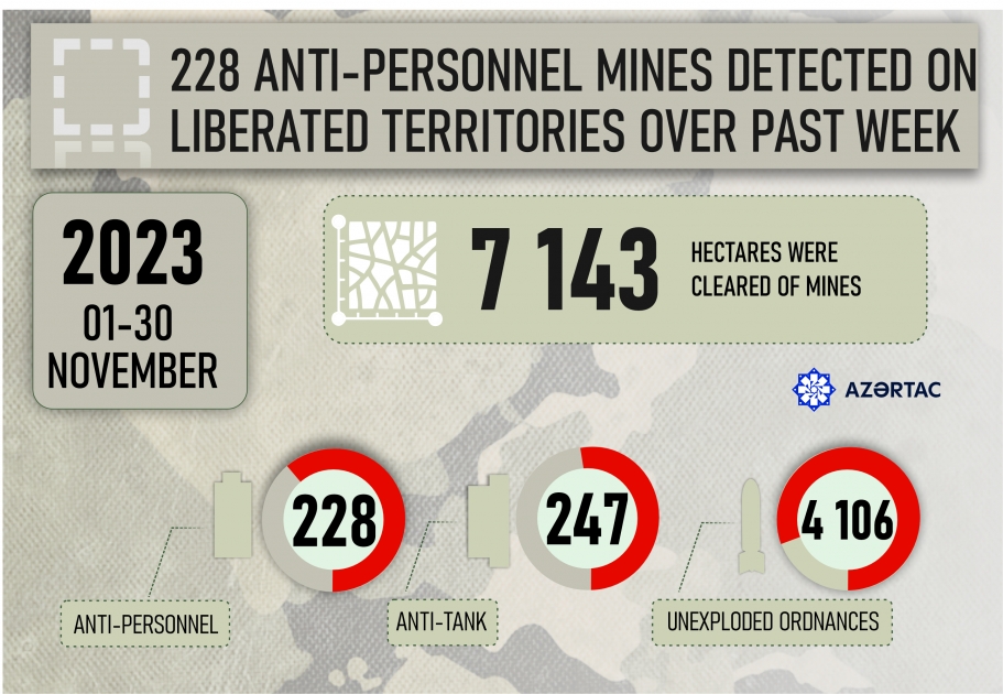 228 anti-personnel mines detected on liberated territories over past week
