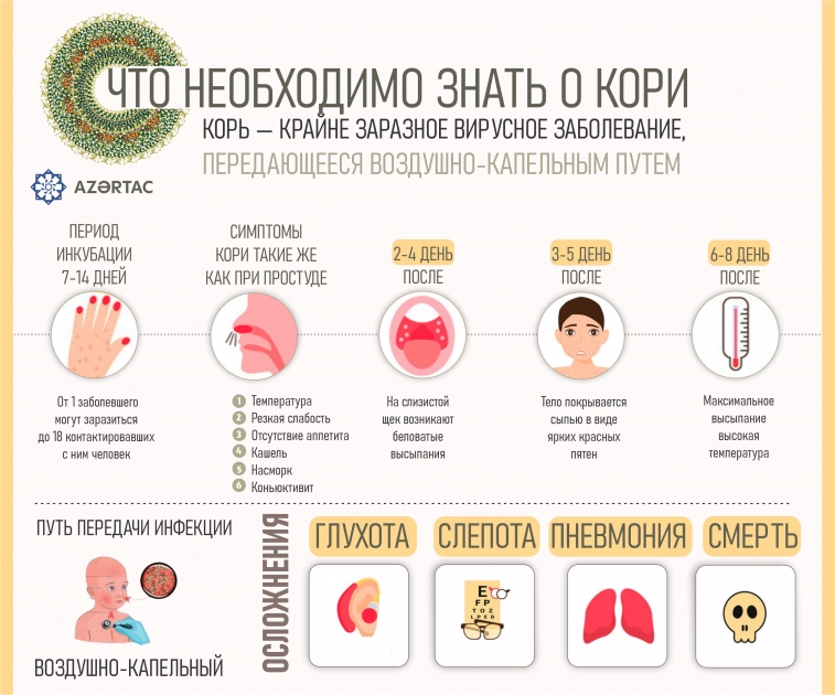 Что необходимо знать о кори