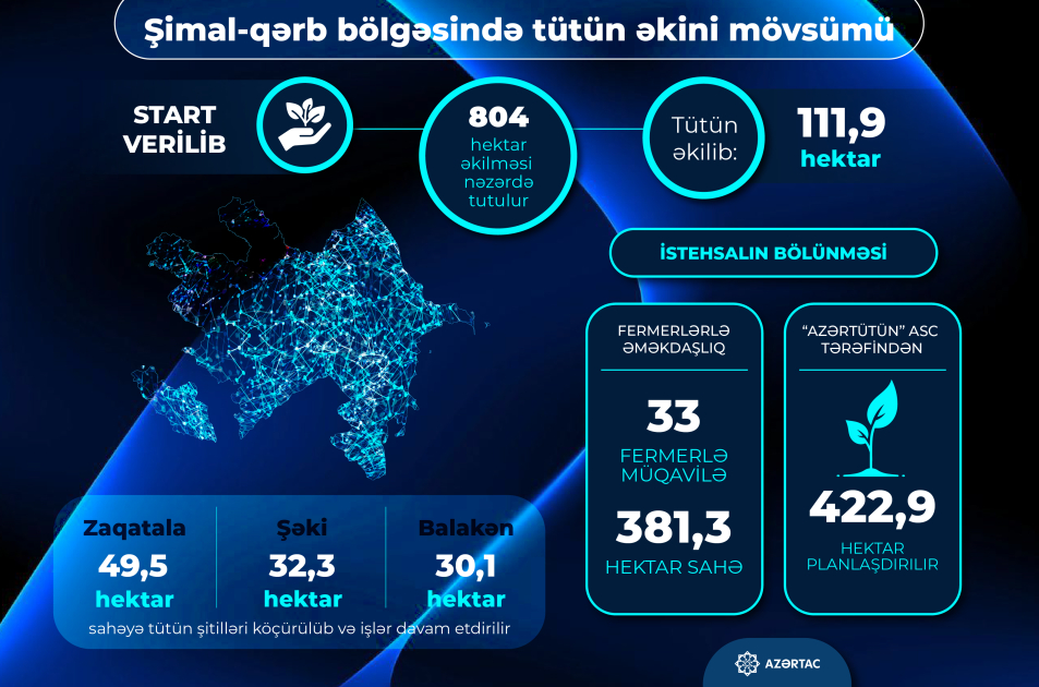 Şimal-qərb rayonlarında 111,9 hektar sahədə tütün əkilib