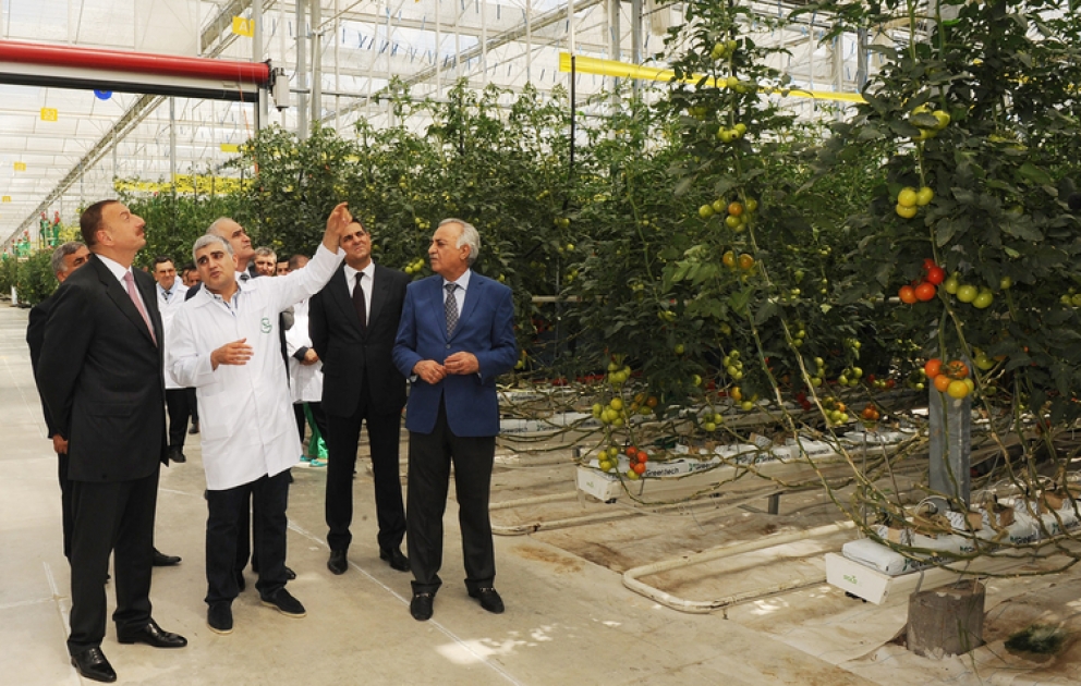 Le président azerbaïdjanais Ilham Aliyev a visité le complexe de serre de la SARL « Green Tech » d’Azersun Holding situé dans le bourg de Bina