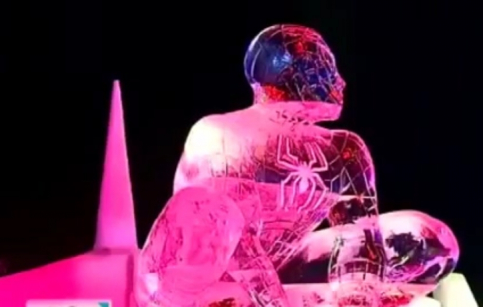 В Брюсселе открылось завораживающее ледяное шоу ВИДЕО