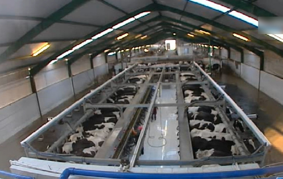 Im Rayon Barda Agro-Industriepark „Karabach“ in Betrieb genommen VIDEO