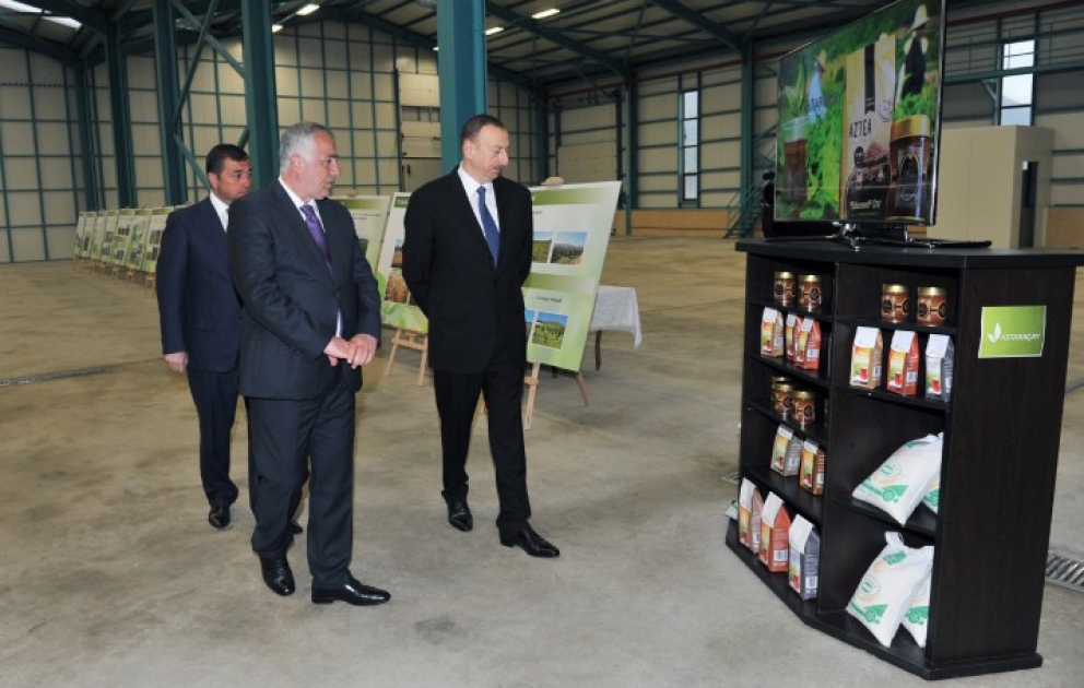 President Ilham Aliyev reviewed a tea processing factory of Astarachay LLC VIDEO