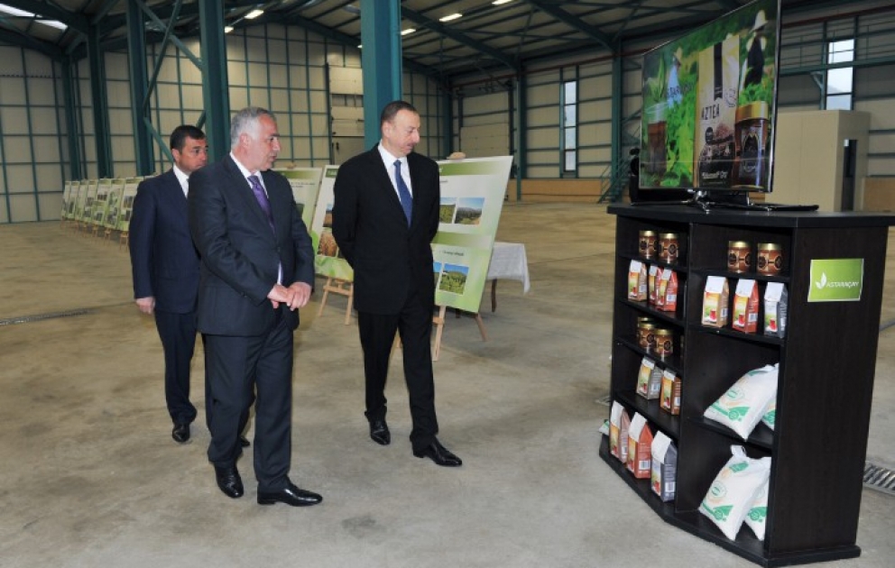 Präsident Ilham Aliyev hat im Astara die Teeverarbeitungsfabrik „Astaraçay“ besucht VIDEO