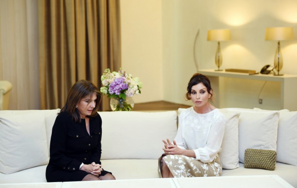 Treffen der Präsidentin der Heydar Aliyev-Stiftung Mehriban Aliyeva mit einem Mitglied des französischem Senats VIDEO