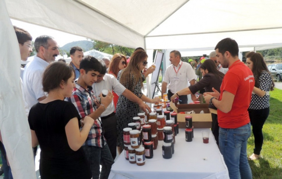 Qəbələdə keçirilən mürəbbə festivalında 6 ölkədən, 30 şəhər və rayondan gətirilən mürəbbələr nümayiş olunub VİDEO